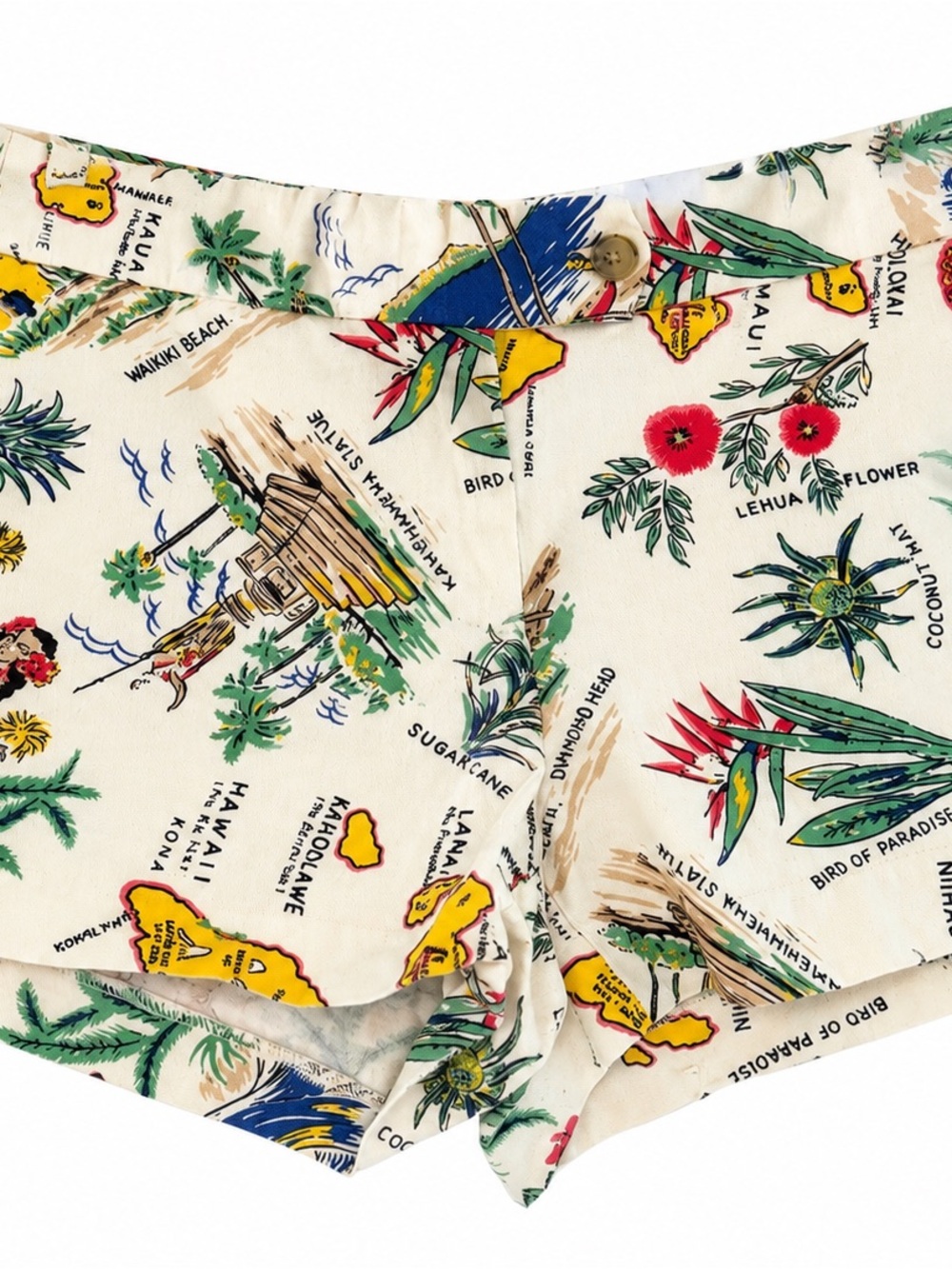 J.Crew Hawaiian Map Print Shorts Size 4 Tropical Aloha Resort